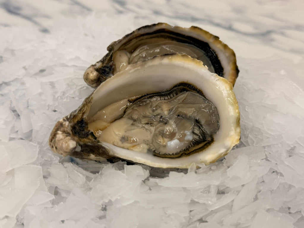 Oysters - Natures Original Protein Shot!