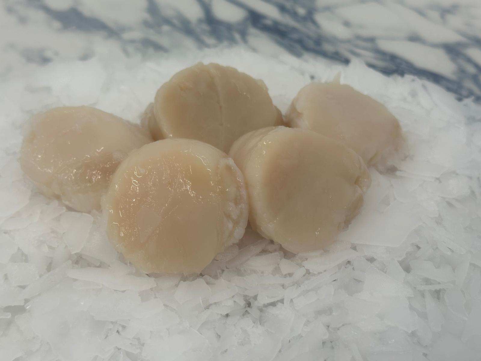 Scallops - Protein Boost Pack